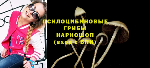 мескалин Алексин